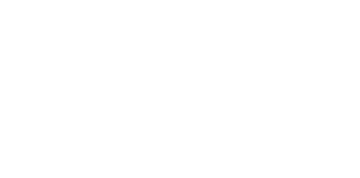 Logo Il Bric